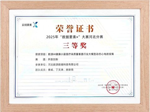 2025年数据要素×大赛河北分赛 三等奖